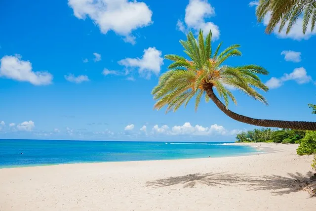 Oahu Circle Island Tour - Image 1