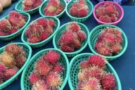 West Palm Beach Food Tour in the Market thumbnail 2