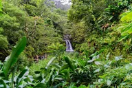 Maui Road to Hana Private Tour thumbnail 2