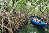 Cocoa Beach Mangrove Tunnel Kayak Tour thumbnail 2