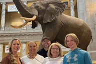 Washington D.C. Smithsonian Natural History Museum Private Tour thumbnail 1