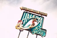 Oahu Island Sightseeing Tour thumbnail 6