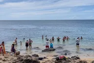 Oahu Circle Island Tour with Turtle Swim thumbnail 5