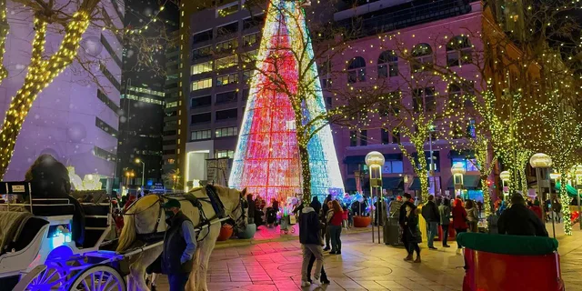 Denver Holiday Lights Cannabis Tour 2 hr - Image 1