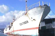 Waikiki Wreck and Reef Dive thumbnail 4