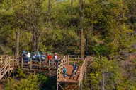 Maui Zipline Adventure in Ka'anapali thumbnail 3