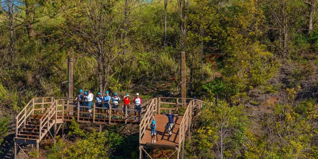 Maui Zipline Adventure in Ka'anapali - Image 3