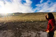 Salt Lake City Great Salt Lake Wildlife Tour at Sunset thumbnail 5