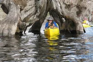 Lake Norris Kayak Tour 3 hr thumbnail 4