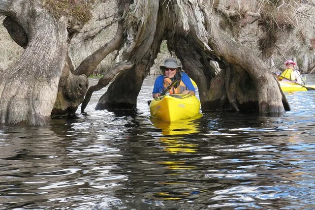 Lake Norris Kayak Tour 3 hr - Image 4