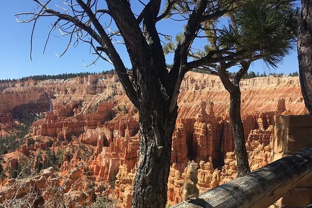 Bryce Canyon Private Tour - Image 4