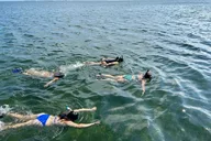 South Padre Island Snorkeling Excursion thumbnail 2