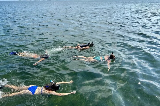 South Padre Island Snorkeling Excursion - Image 2