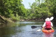 Merritt Island Manatee and Dolphin Kayak Tour thumbnail 4