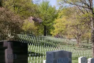 Arlington National Cemetery Hop-On Hop-Off Tour thumbnail 4