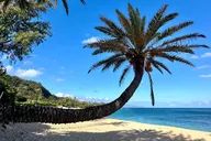 Oahu North Shore Shuttle Tour thumbnail 5