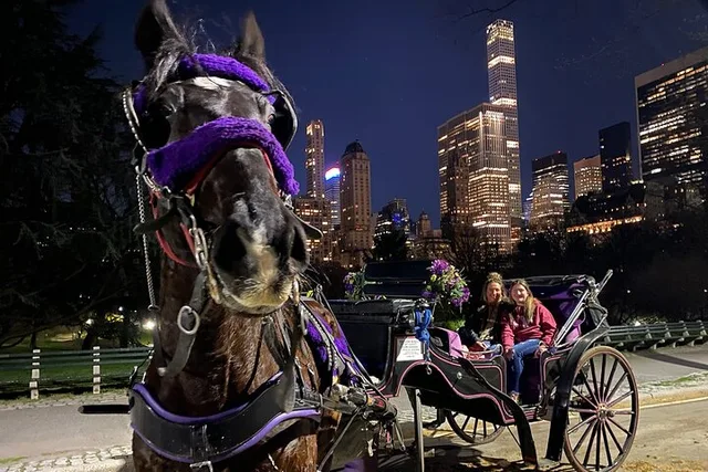 New York City Central Park Horse Carriage Tour - Image 3