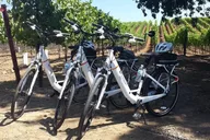 Sedona E-Bike Tour with Wine Tasting 90 Min thumbnail 1
