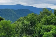Atlanta Wine Tasting Tour in North Georgia thumbnail 4