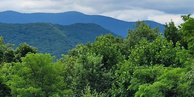 Atlanta Wine Tasting Tour in North Georgia - Image 4