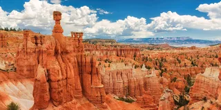 San Francisco Yosemite and Southwest National Parks Tour 6-Day