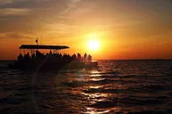 Destin Dolphin Watching Cruise thumbnail 2