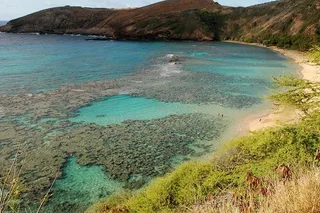 Honolulu Snorkeling Tour at Hanauma Bay