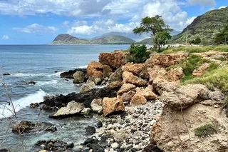 Hawaii Snorkeling with Dolphins Tour