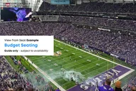 Minneapolis Vikings Football Game Ticket thumbnail 6