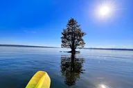 Yellowstone Kayak Tour at West Thumb Geyser Basin thumbnail 5