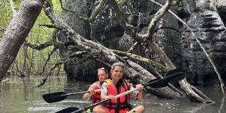 Sarasota Mangrove Kayak Tour with Hidden Beach