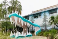 Orlando Gatorland Skip-the-Line Ticket thumbnail 1