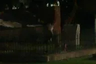Savannah Ghost Coach Tour thumbnail 3