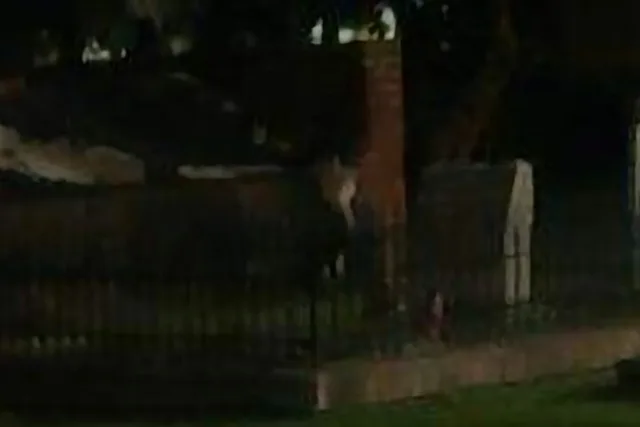 Savannah Ghost Coach Tour - Image 3