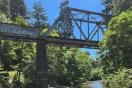 San Francisco Train Ride Adventure through Redwoods thumbnail 2