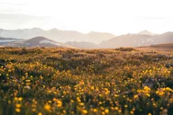 Denver Rocky Mountain Private Tour & Hike thumbnail 4