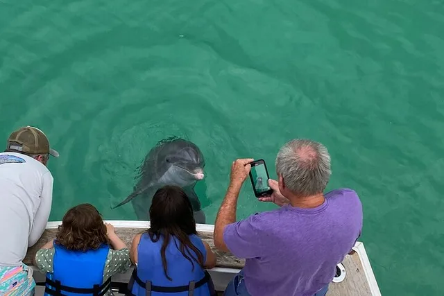 Panama City Beach Dolphin Sightseeing Tour 2 hr - Image 5