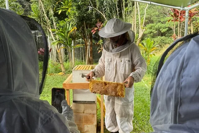 Kauai Honey and Bee Tour - Image 6