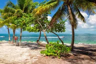 Miami to Key West Transportation thumbnail 5
