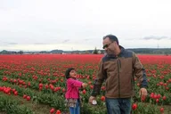 Seattle Tulip Festival Day Trip thumbnail 4