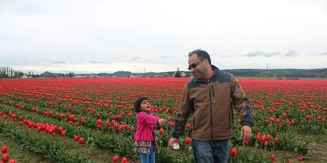 Seattle Tulip Festival Day Trip - Image 4