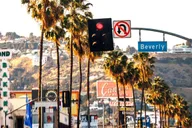 Los Angeles Street Art Private Walking Tour thumbnail 4