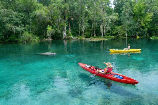 Orlando Silver Springs Kayak and Glass Boat Tour - Image 1