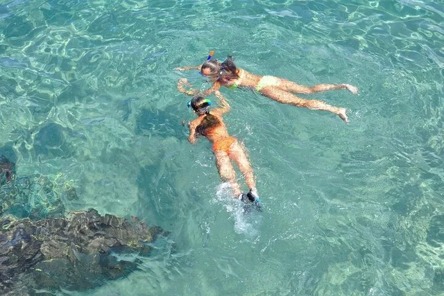 Marathon Key Snorkeling Adventure at Sombrero Reef 3 hr - Image 2