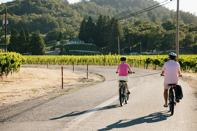 Sonoma Electric Bike Wine Tasting Tour with Lunch - Image 5
