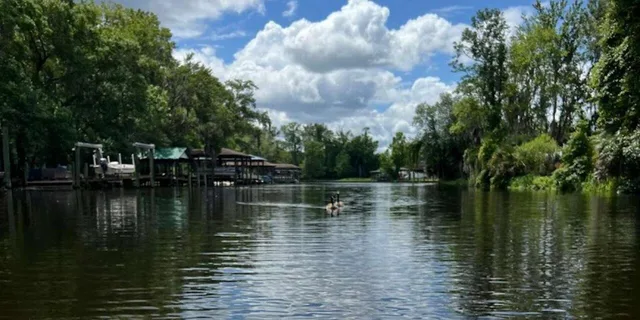 Jacksonville Kayak Rental Adventure on Ortega River - Image 3