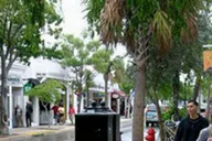Fort Lauderdale to Key West Day Trip thumbnail 2