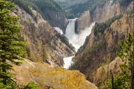 Yellowstone Private Tour with Surprise Activity thumbnail 1