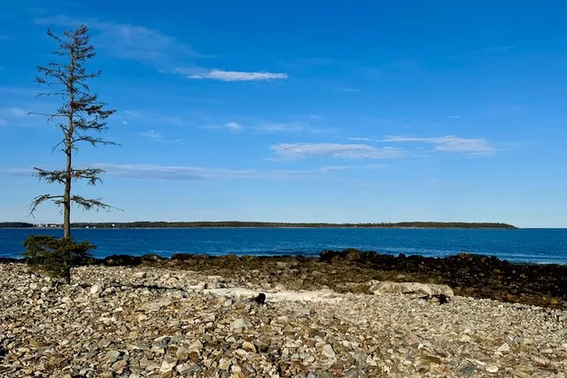 MDI Discovery Tour Beyond Acadia 5 hr - Image 6