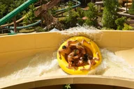 Pigeon Forge Dollywood's Splash Country Entry Ticket thumbnail 4